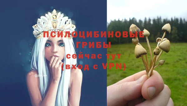 спайс Беломорск