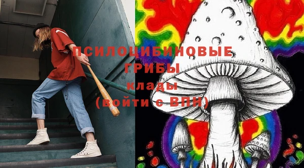 бутират Белокуриха