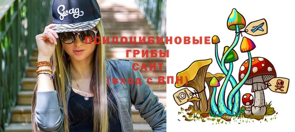 спайс Беломорск