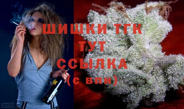 спайс Беломорск