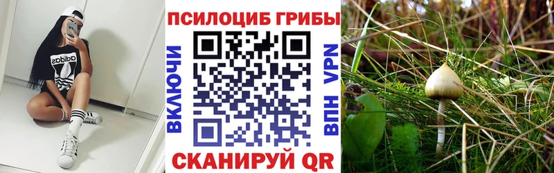 Галлюциногенные грибы Magic Shrooms  Светлый 