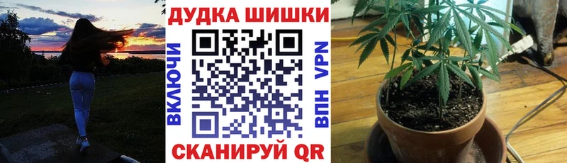 Бошки Шишки Ganja  маркетплейс состав  Светлый  что такое  